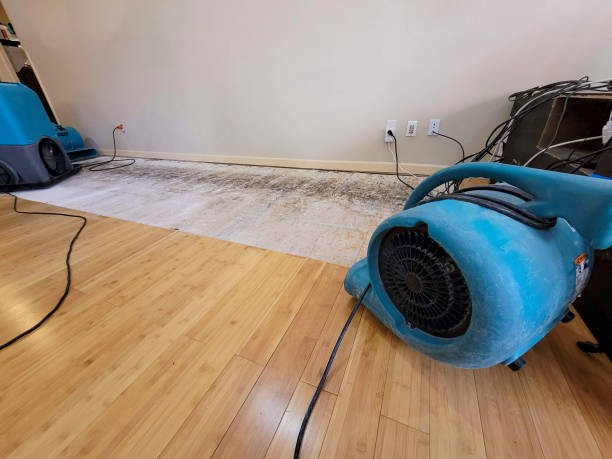 Professional Water Damage Repair technician working in Salisbury, MA